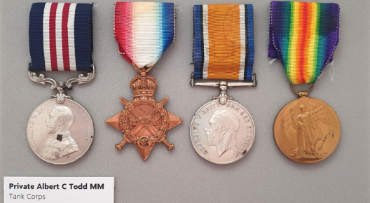 The Story of Private Albert Charles Todd